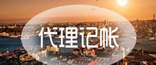 如何分清楚分公司與主公司的稅號?