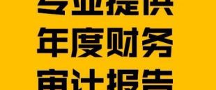 財(cái)務(wù)報(bào)表審計(jì)報(bào)告的費(fèi)用是多少？